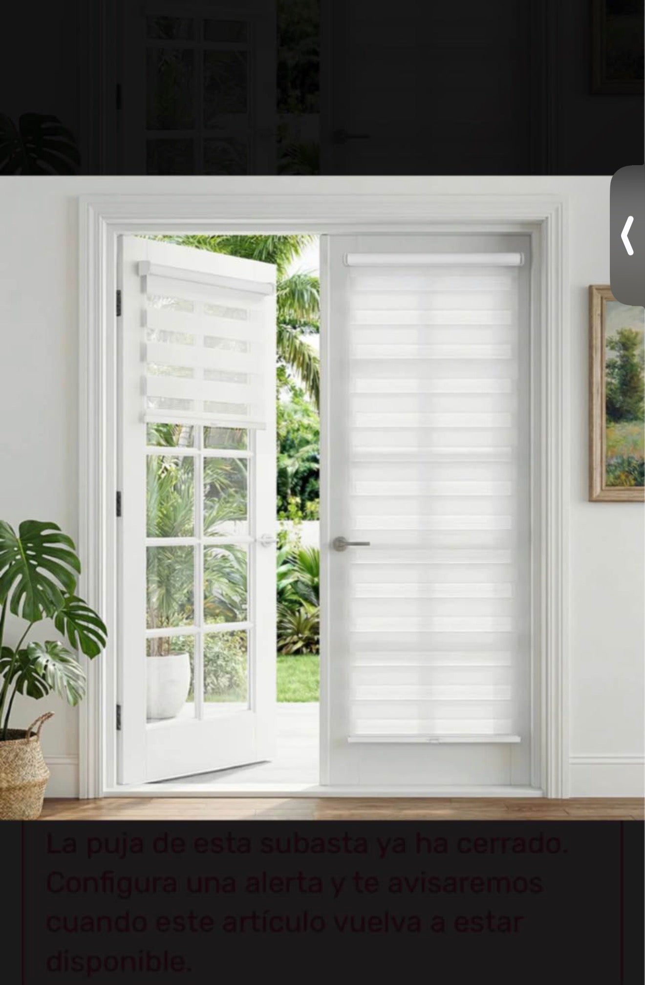 White Cellular Blinds French Doors 72x34